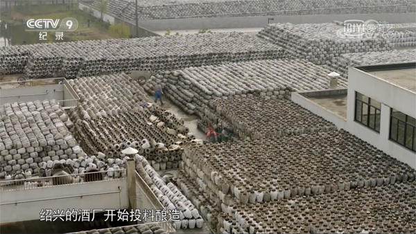 1519799407881866.jpg 234.jpg