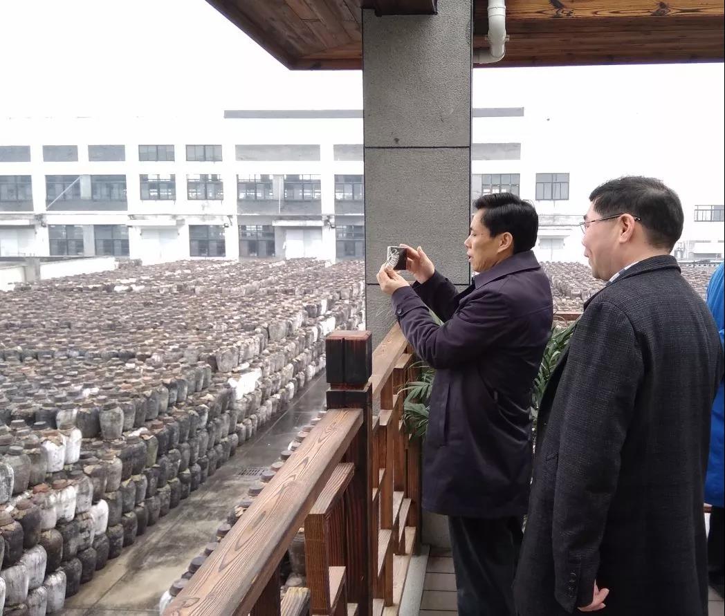 1548047459555171.jpg 3.jpg