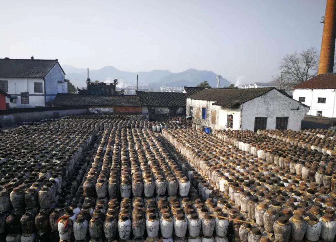 1555570934478435.jpg 2.jpg