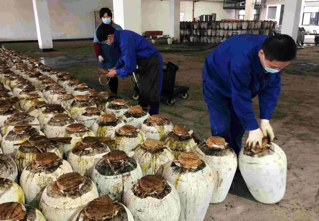 1581903726136047.jpg 3.jpg