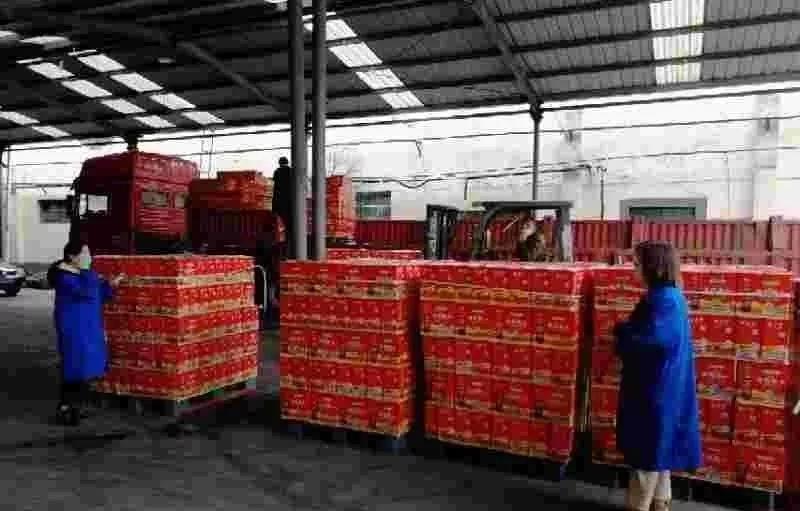 1581904729683239.jpg 7.jpg