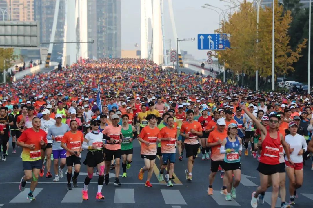 1701229798687425.jpg 1.jpg