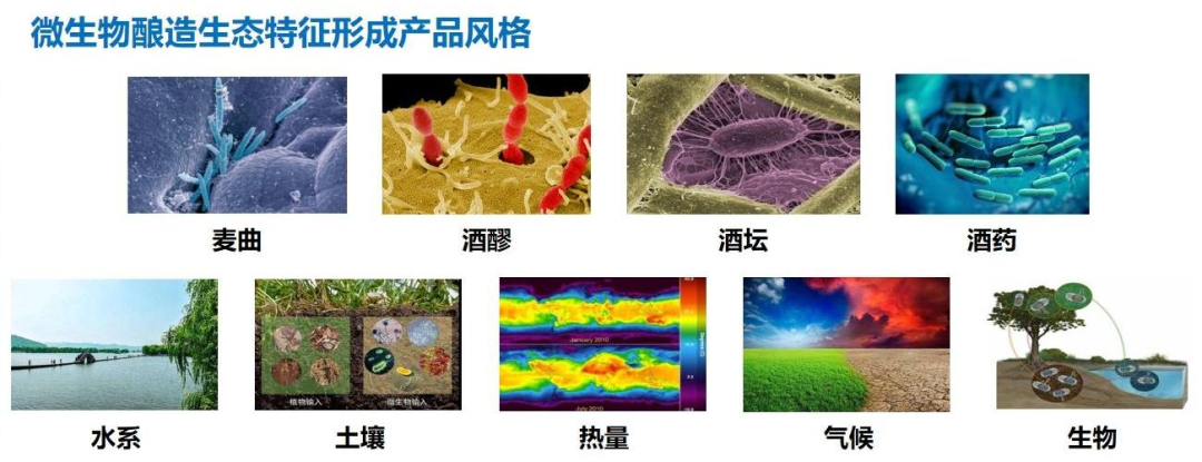 1752657491981147.png 6.png